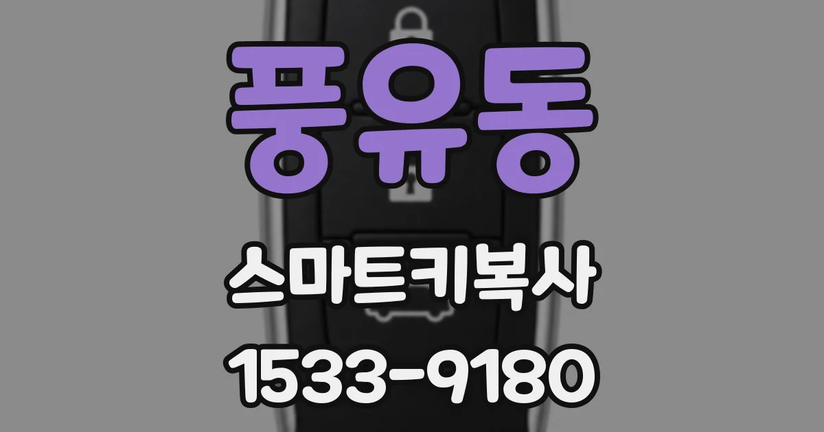 풍유동 스마트키복사