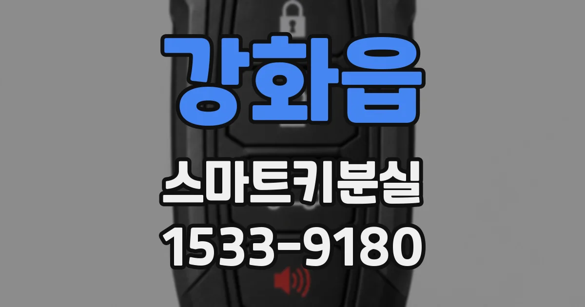 강화읍 스마트키분실
