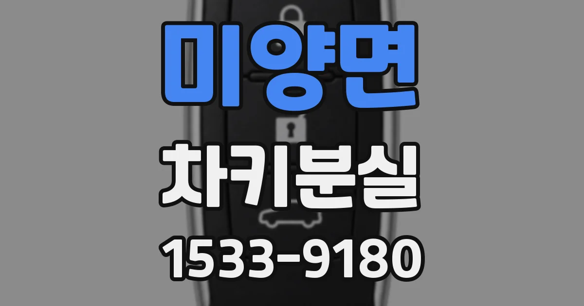 미양면 차키분실
