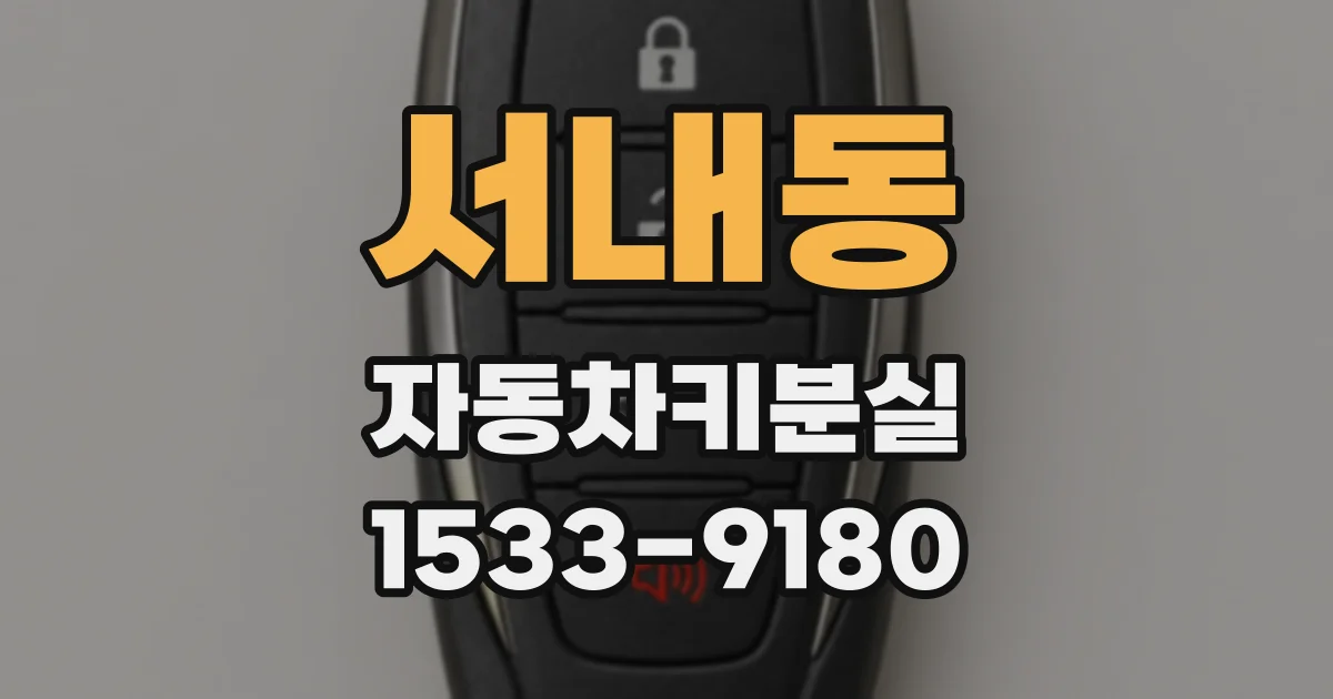 서내동 자동차키분실