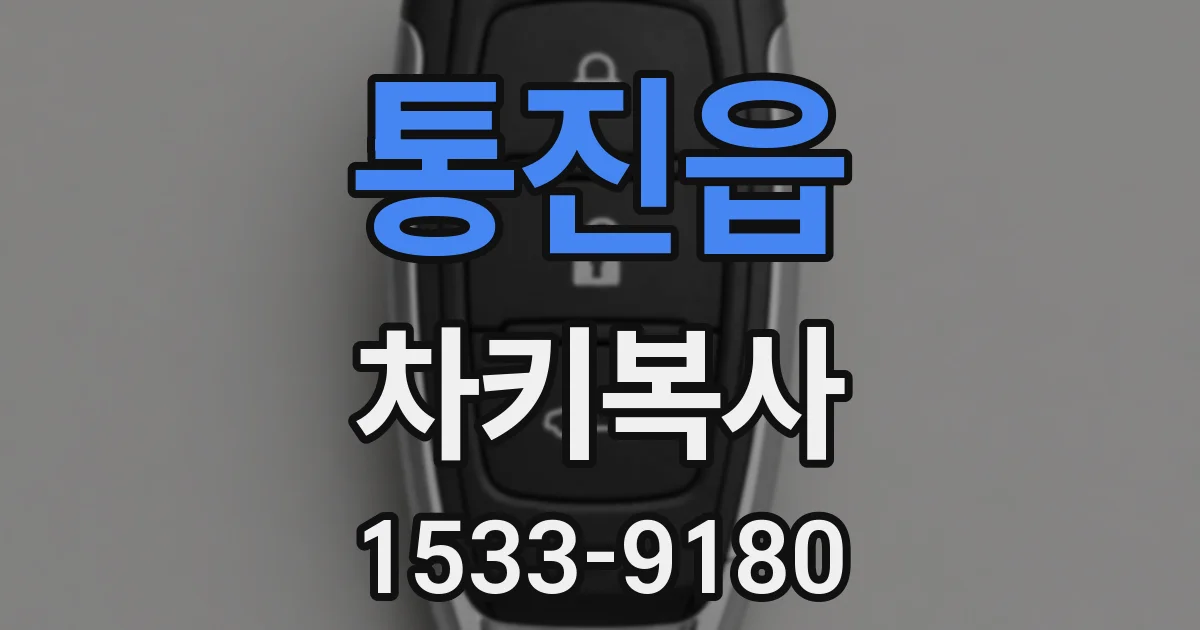 통진읍 차키복사