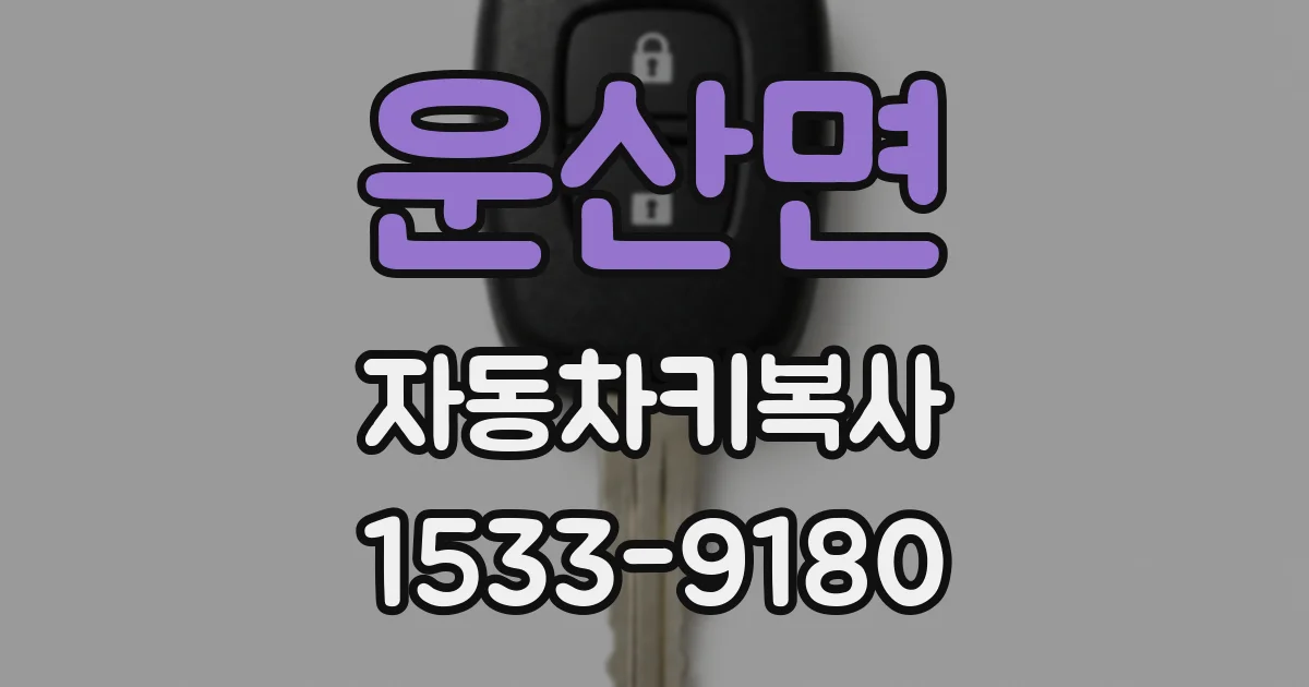 운산면 자동차키복사