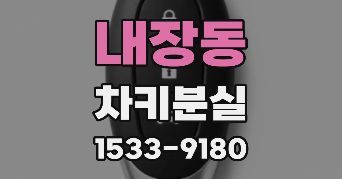 내장동 차키분실
