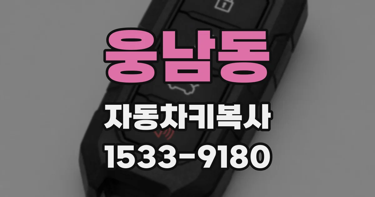 웅남동 자동차키복사