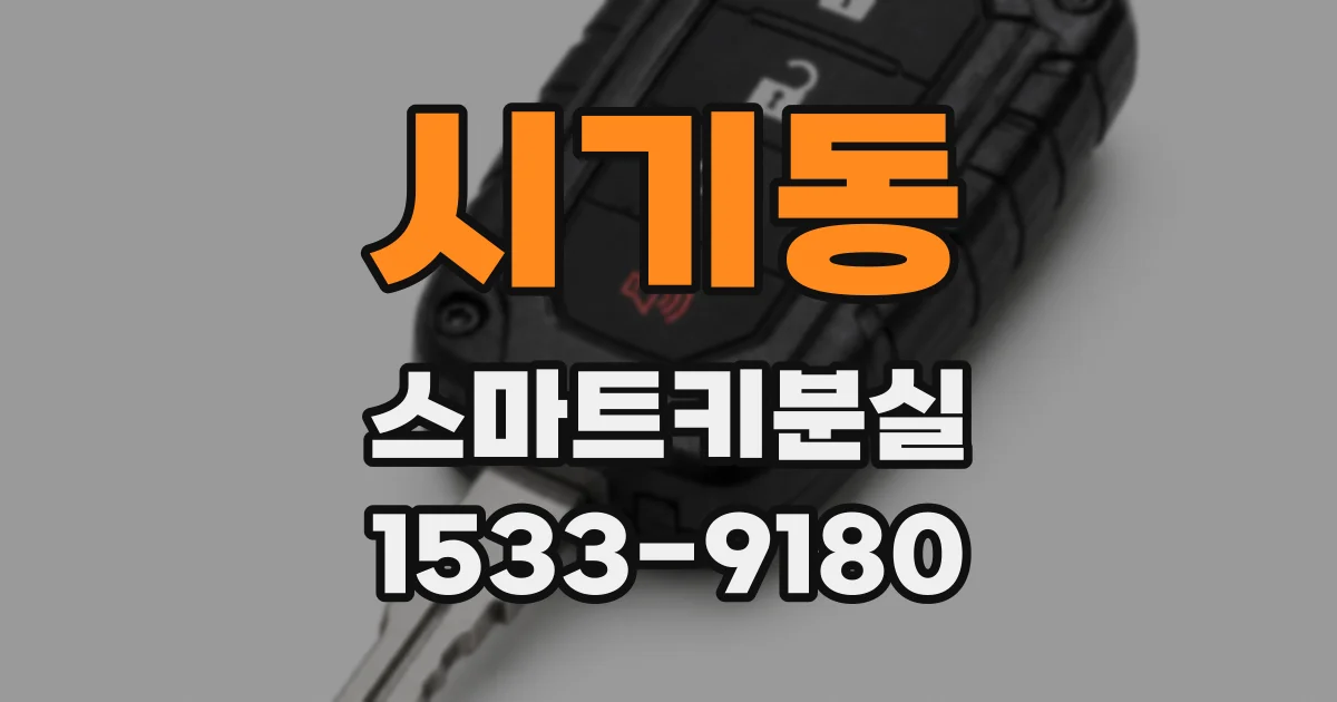 시기동 스마트키분실