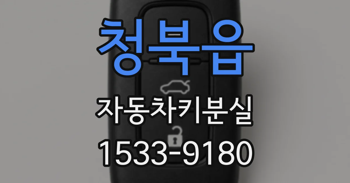 청북읍 자동차키분실