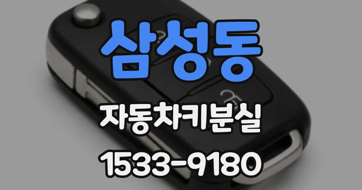 삼성동 자동차키분실