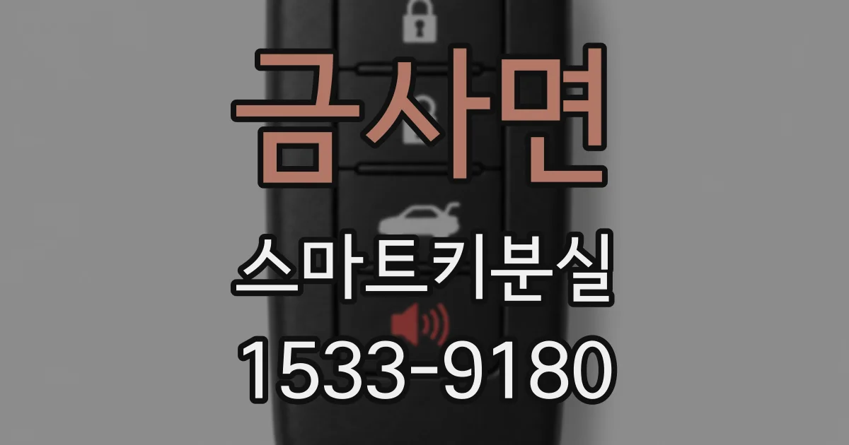 금사면 스마트키분실