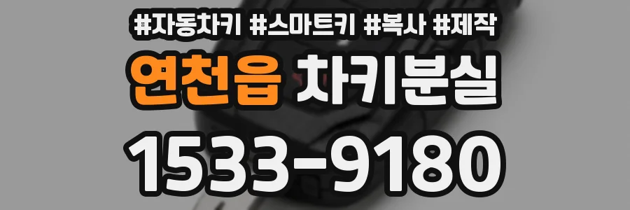 연천읍 차키분실