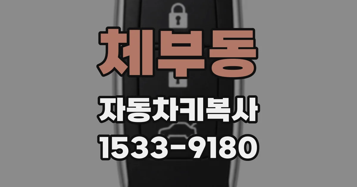 체부동 자동차키복사