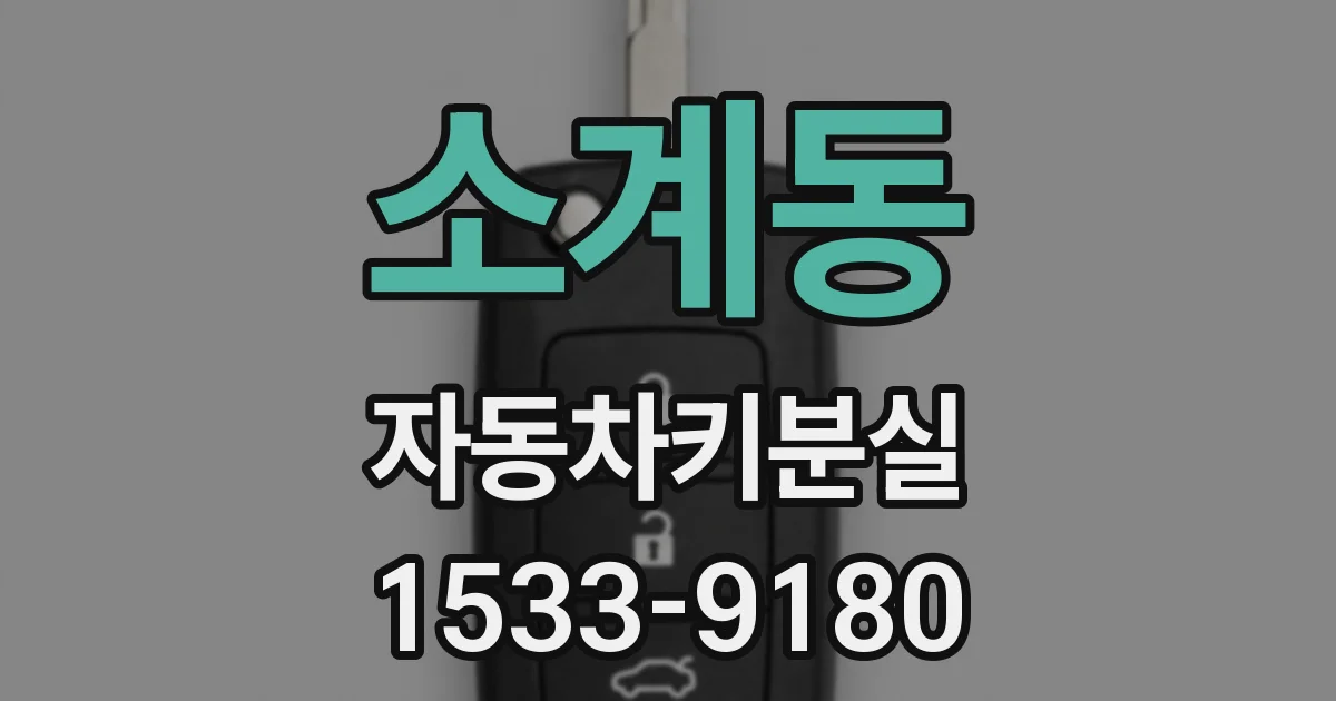 소계동 자동차키분실
