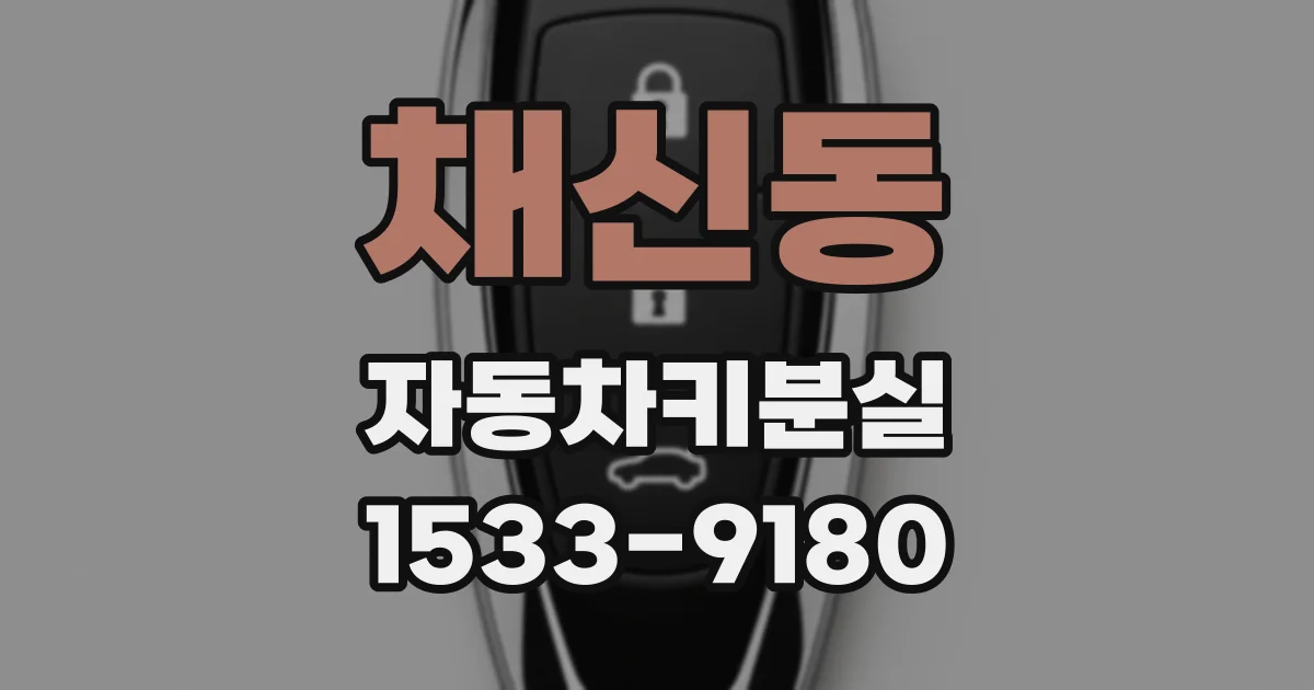 채신동 자동차키분실