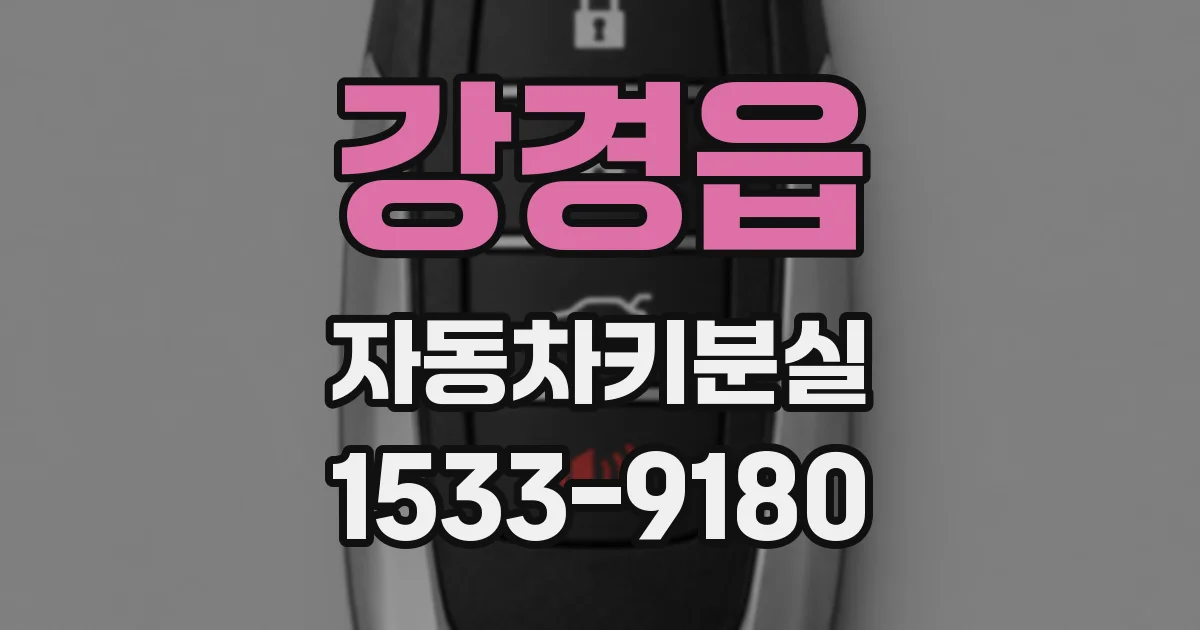 강경읍 자동차키분실