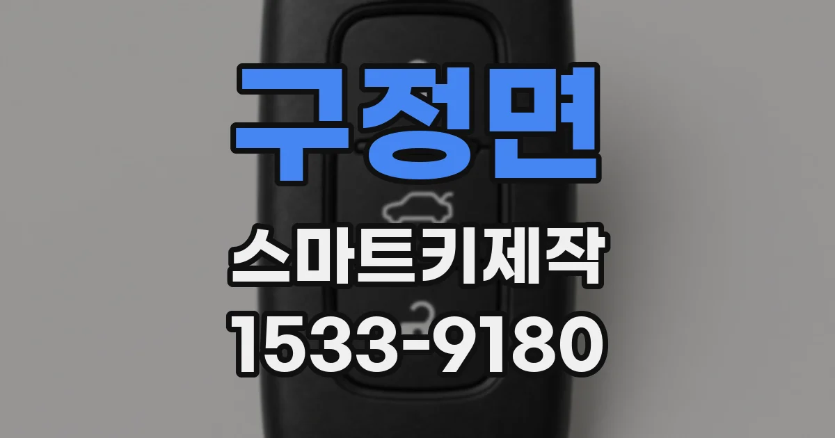 구정면 스마트키제작