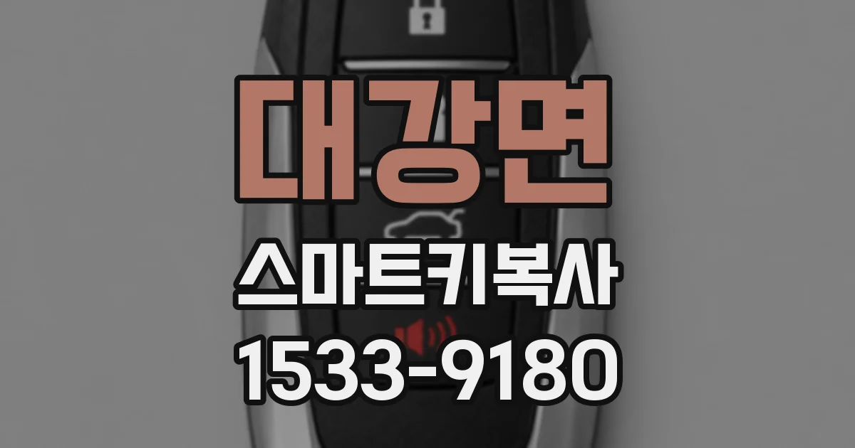 대강면 스마트키복사