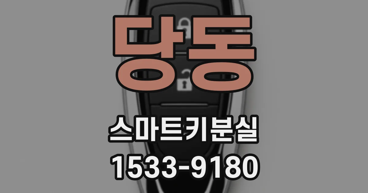 당동 스마트키분실