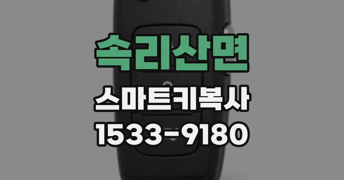 속리산면 스마트키복사