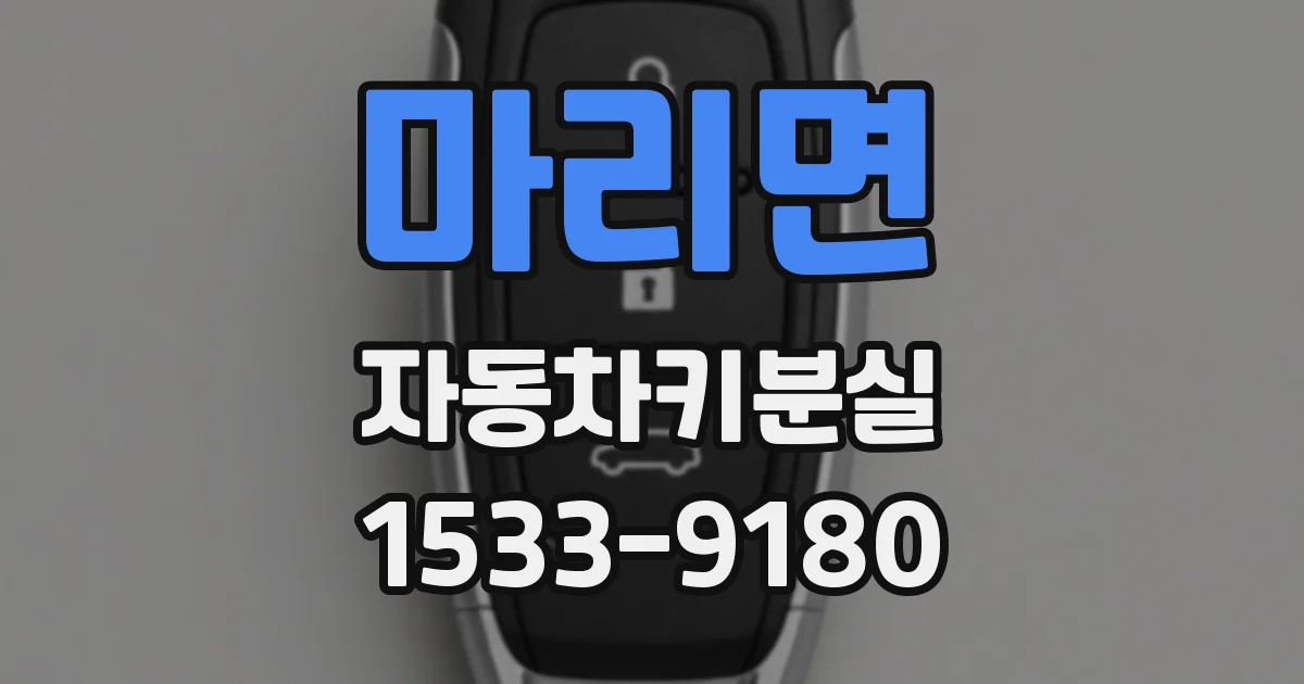 마리면 자동차키분실