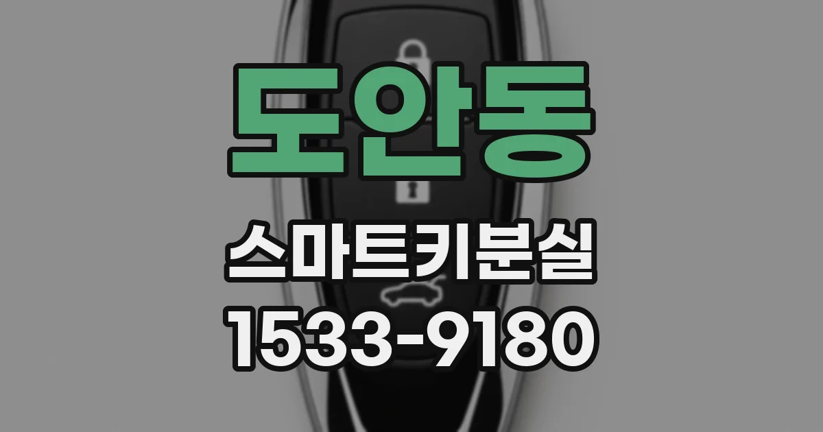 도안동 스마트키분실