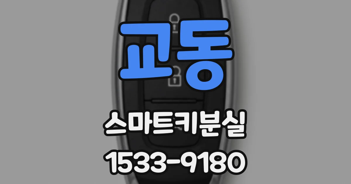 교동 스마트키분실
