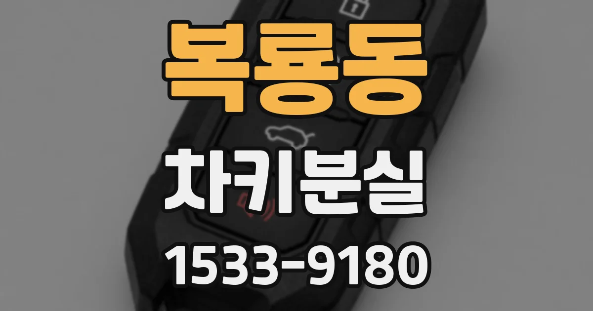 복룡동 차키분실