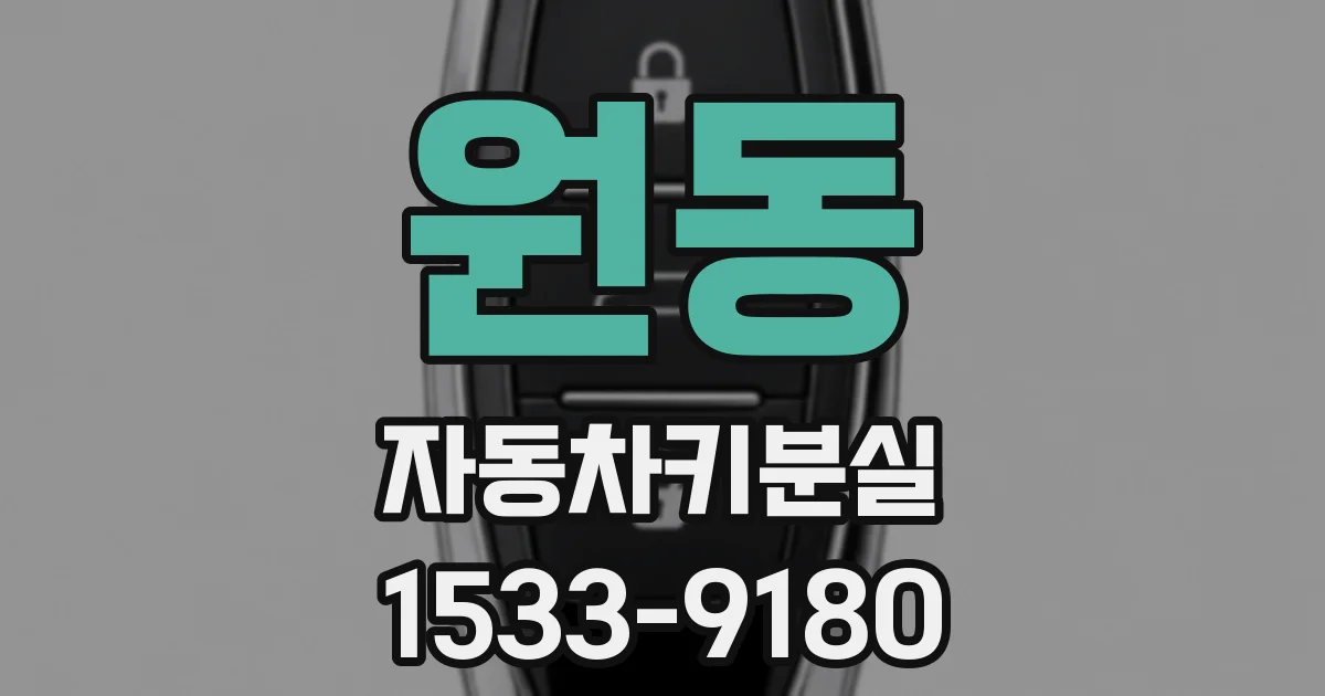 원동 자동차키분실