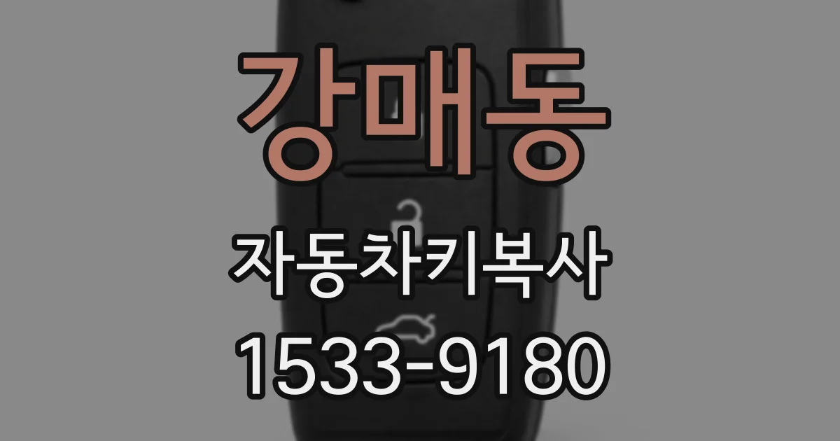 강매동 자동차키복사