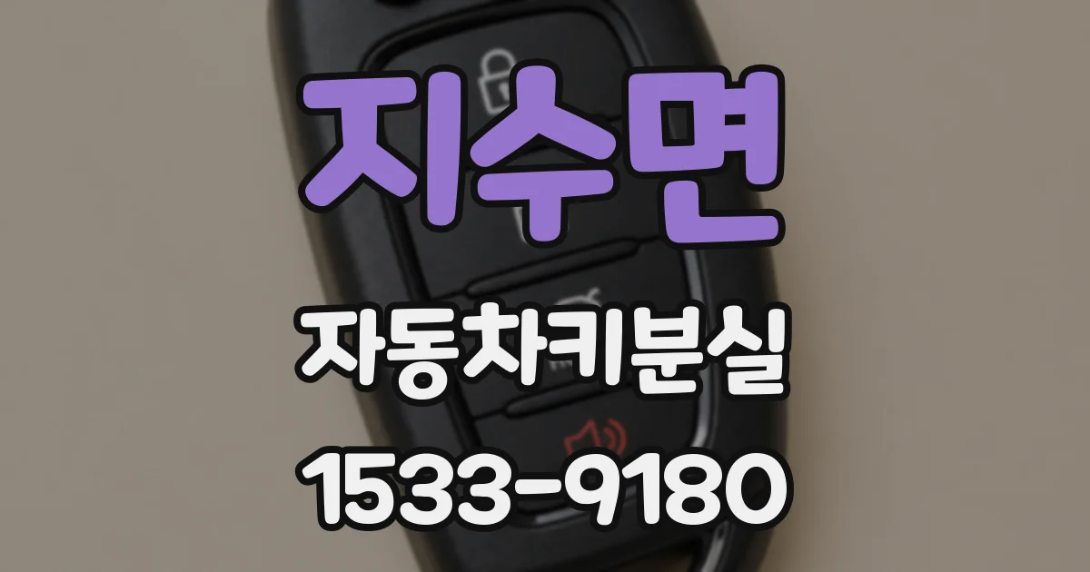 지수면 자동차키분실