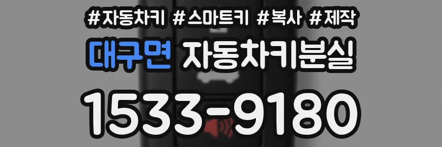 대구면 자동차키분실