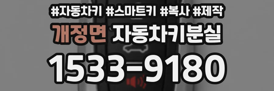 개정면 자동차키분실