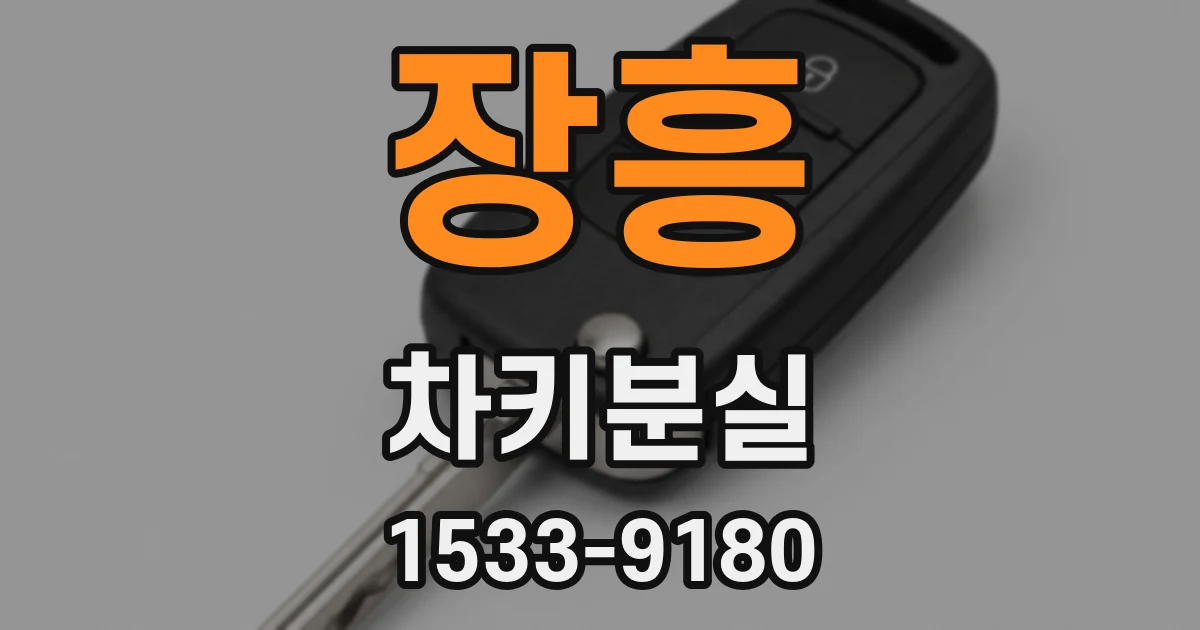 장흥 차키분실
