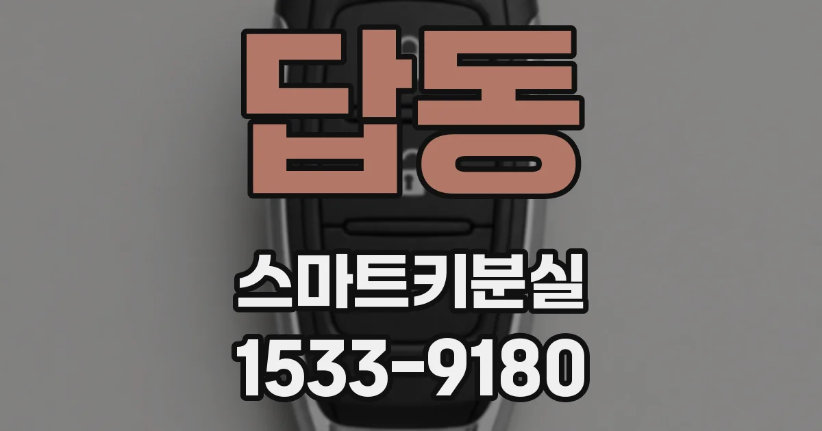 답동 스마트키분실