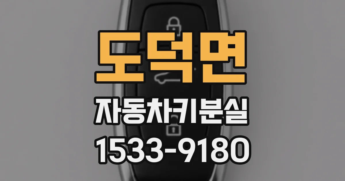 도덕면 자동차키분실