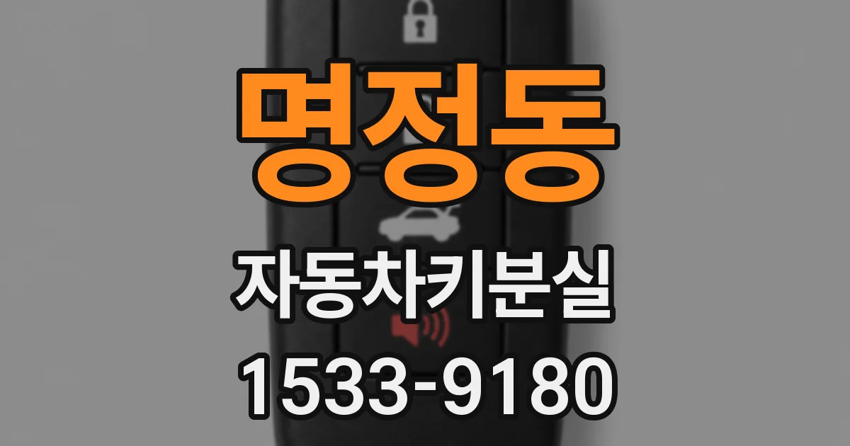 명정동 자동차키분실