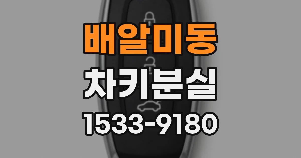 배알미동 차키분실
