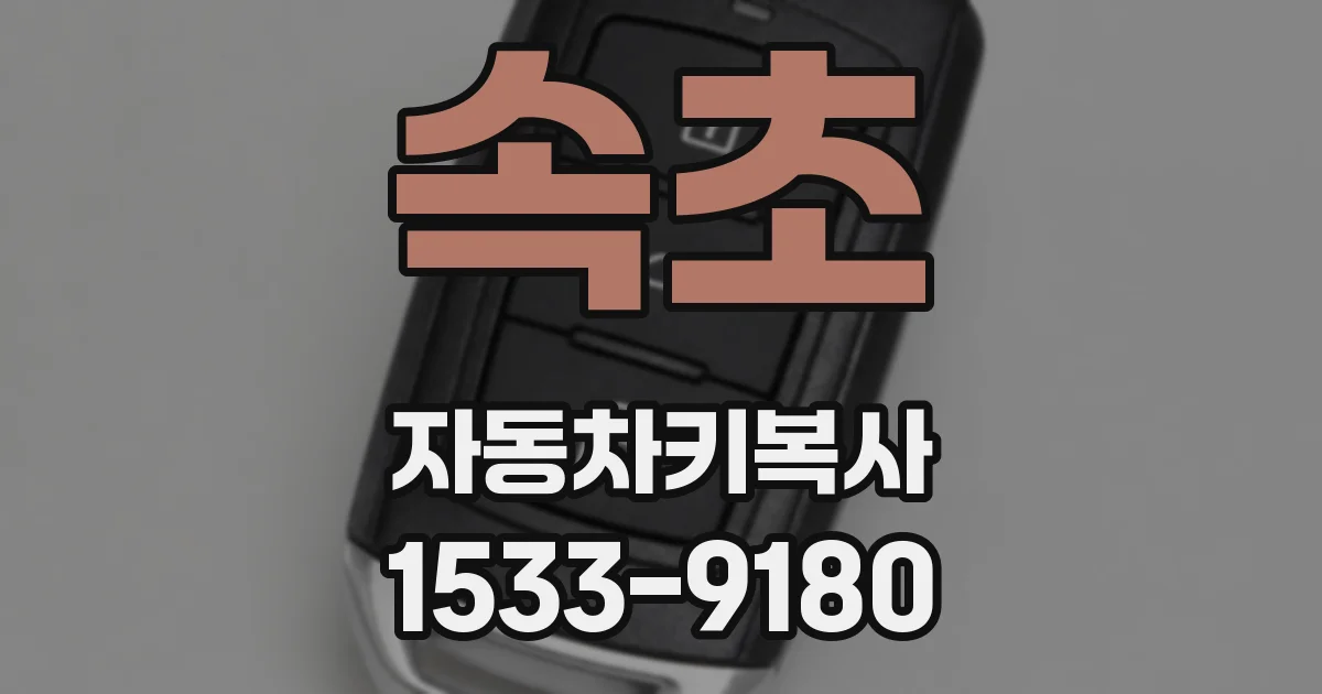 속초 자동차키복사