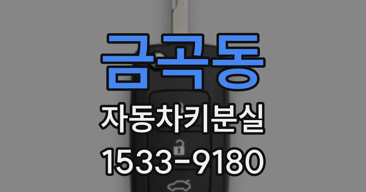 금곡동 자동차키분실