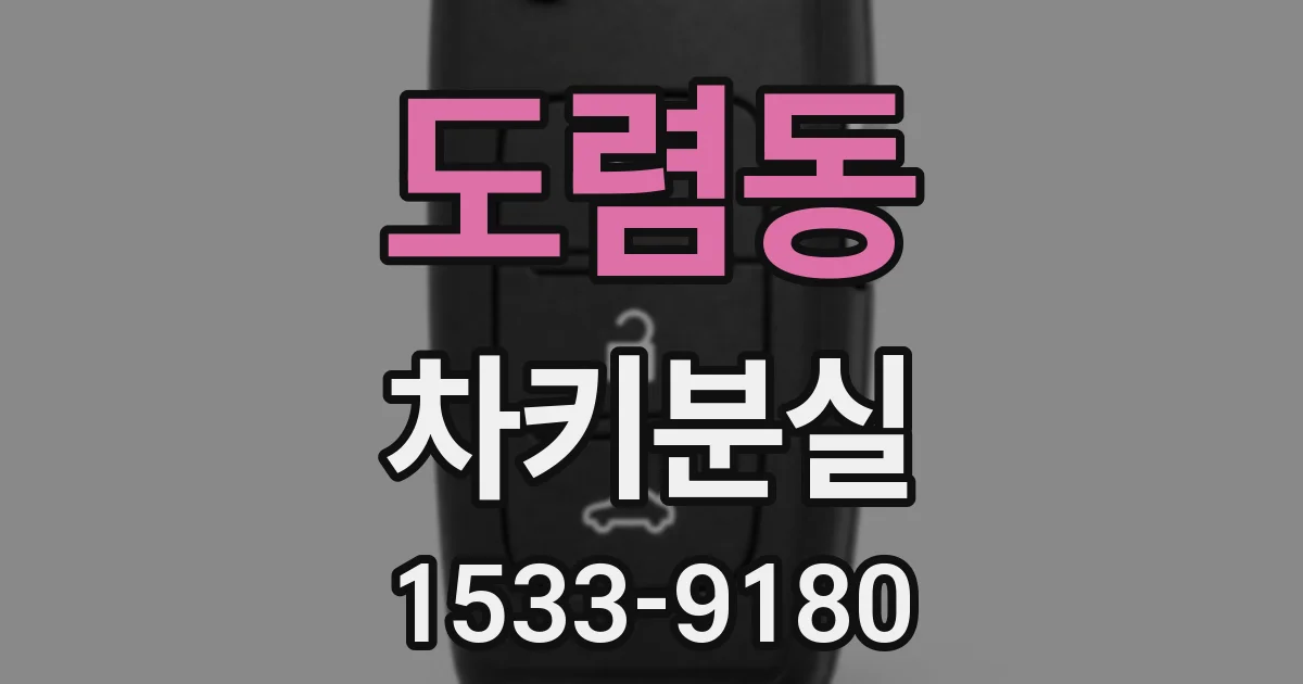 도렴동 차키분실