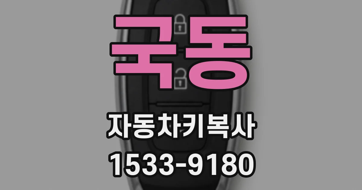 국동 자동차키복사
