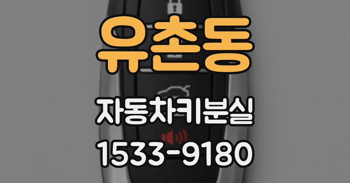 유촌동 자동차키분실