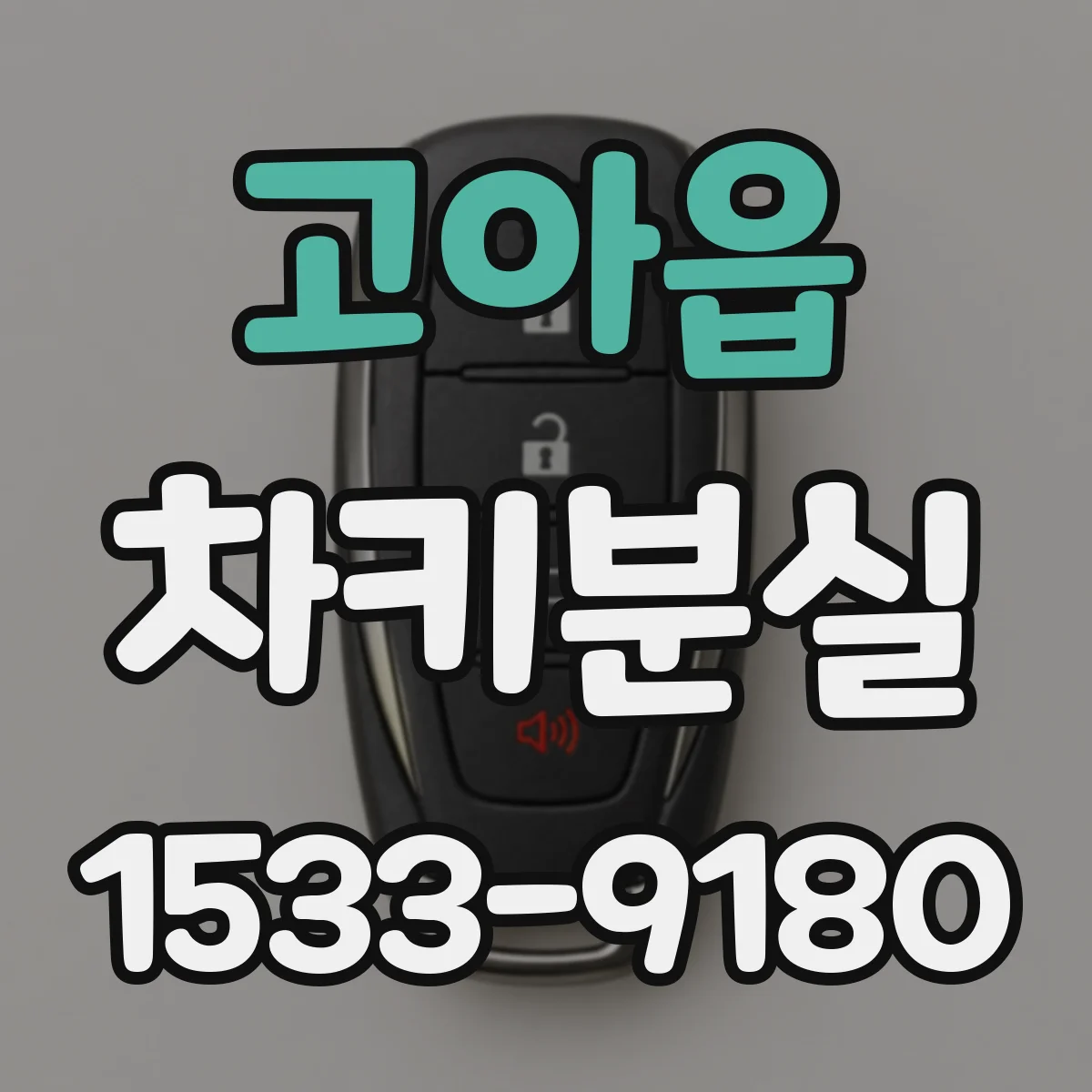 고아읍 차키분실