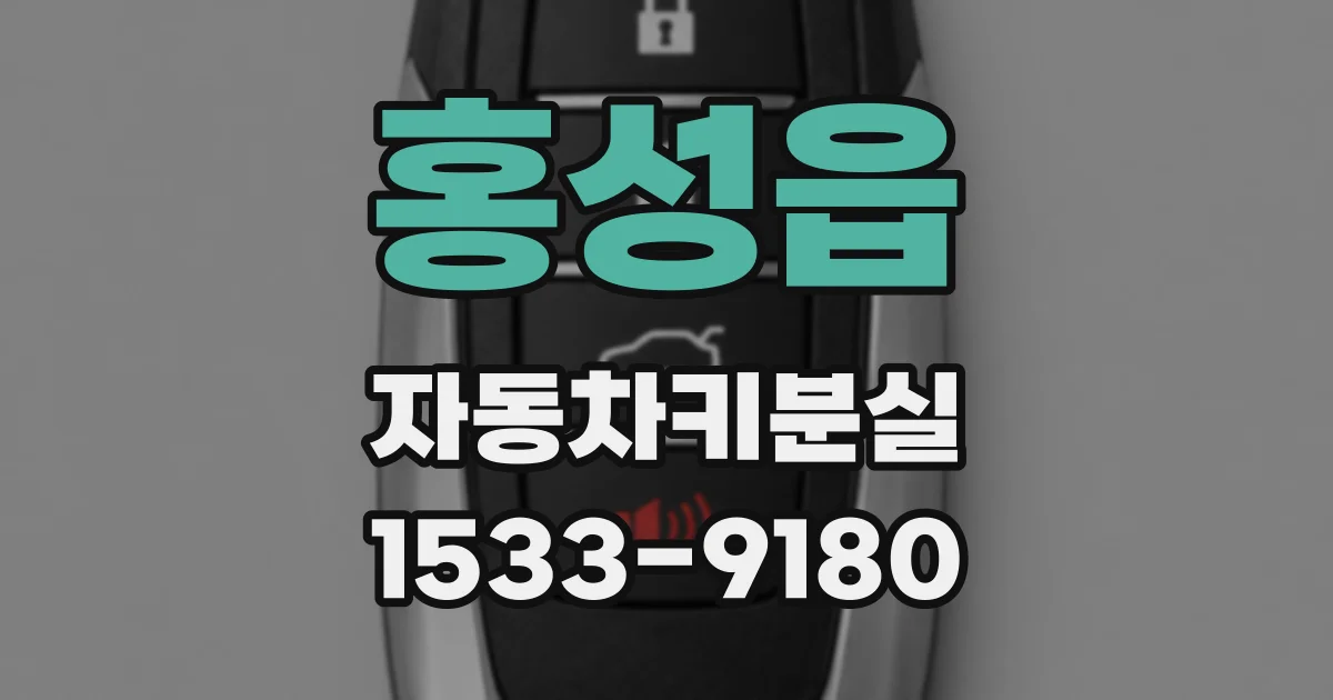 홍성읍 자동차키분실