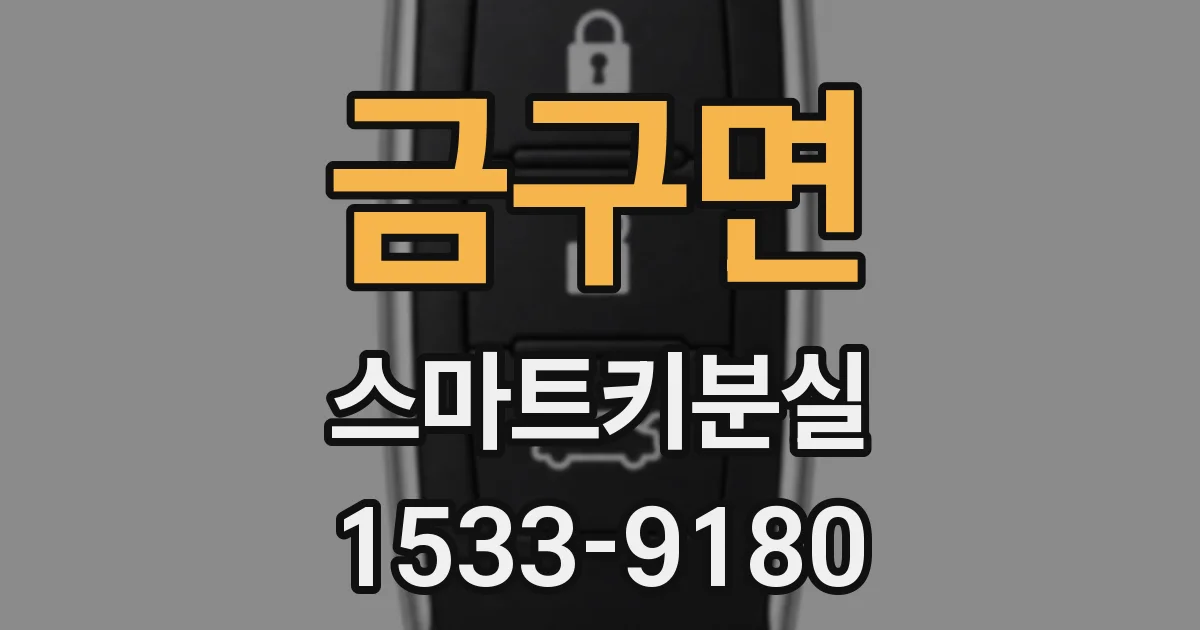 금구면 스마트키분실