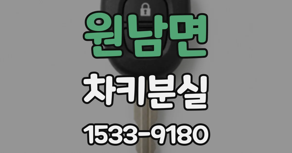 원남면 차키분실