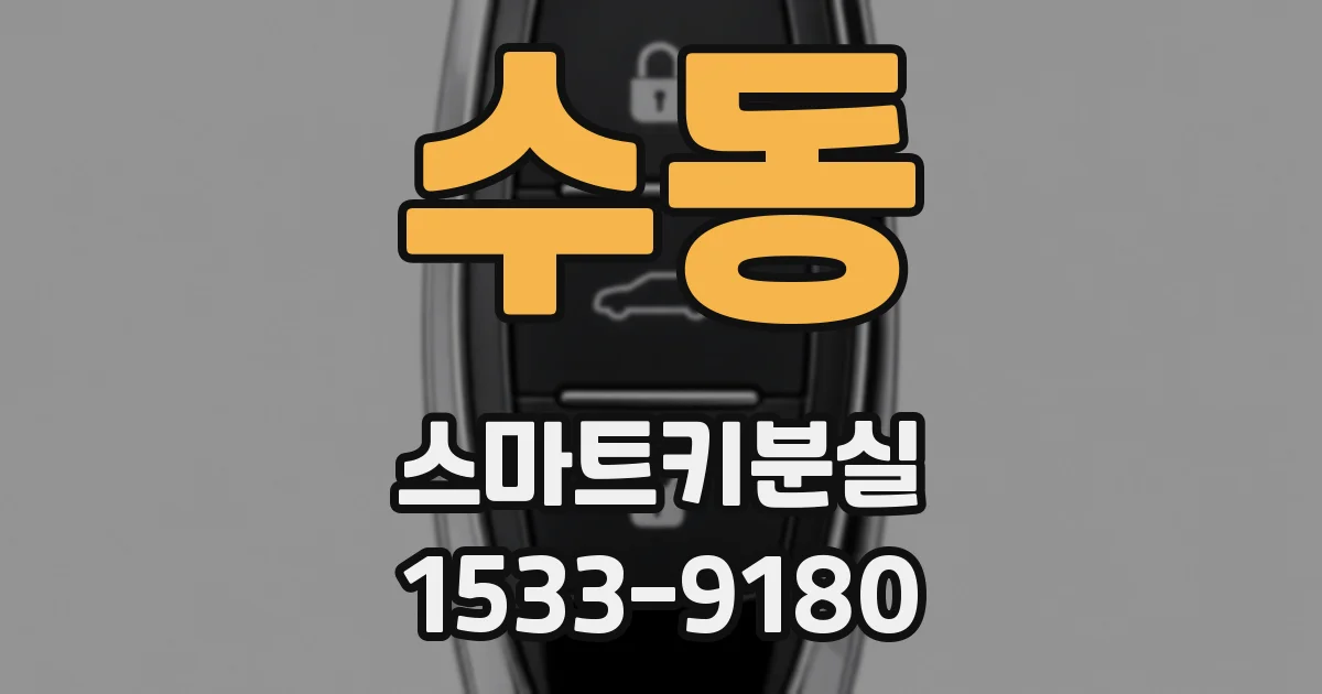 수동 스마트키분실