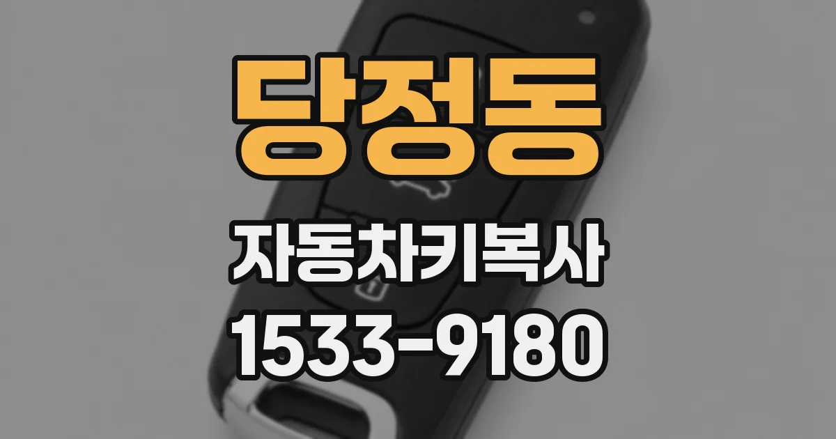 당정동 자동차키복사