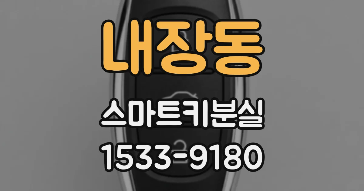 내장동 스마트키분실