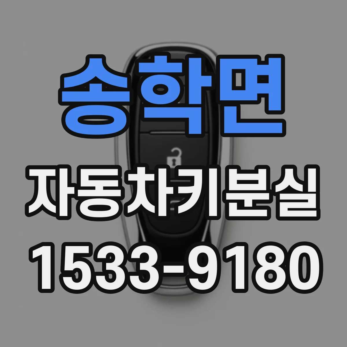 송학면 자동차키분실