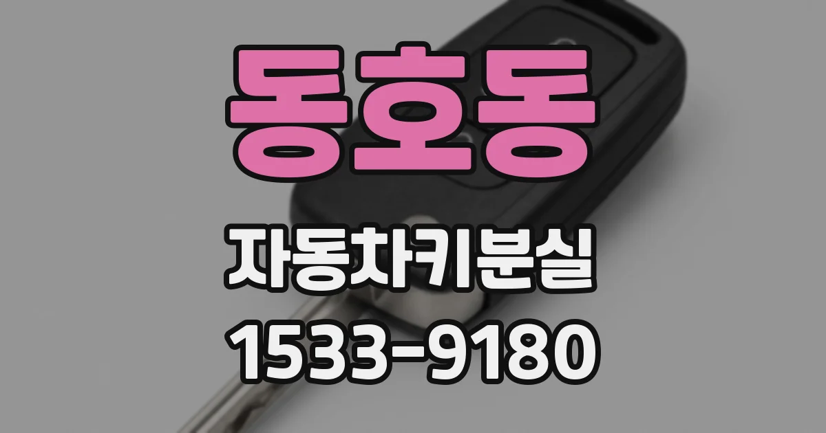 동호동 자동차키분실