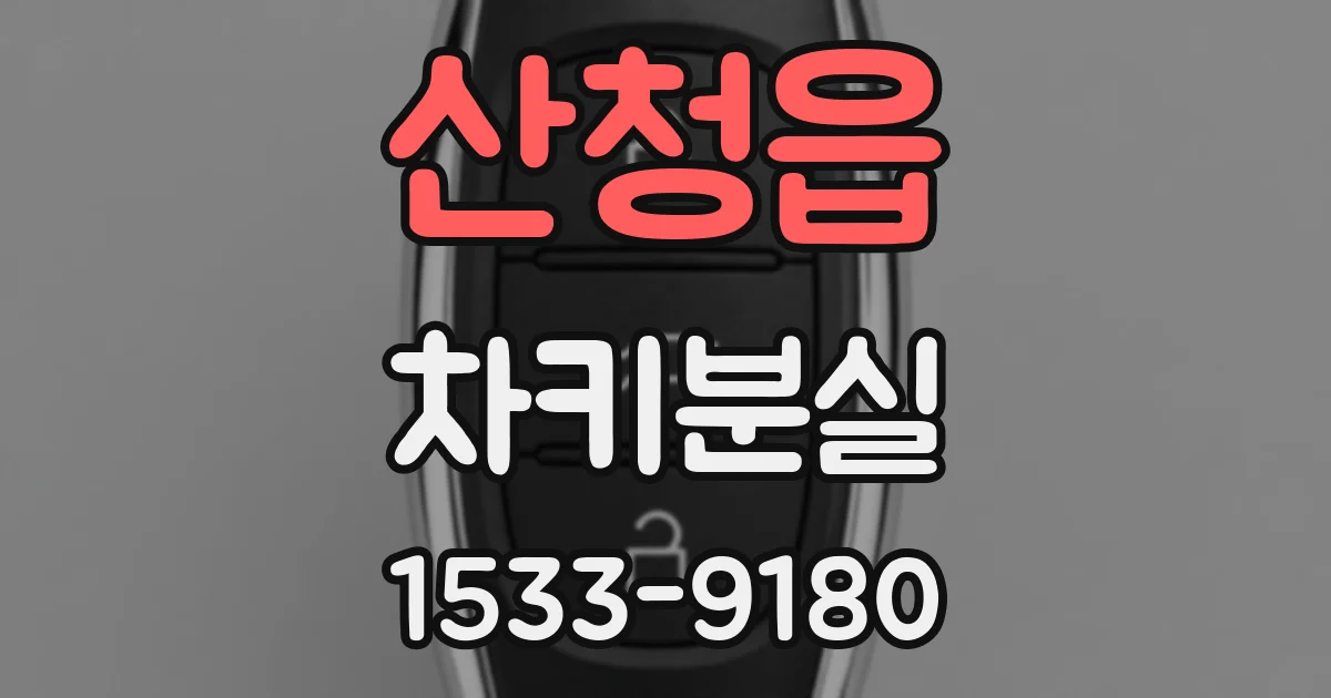 산청읍 차키분실